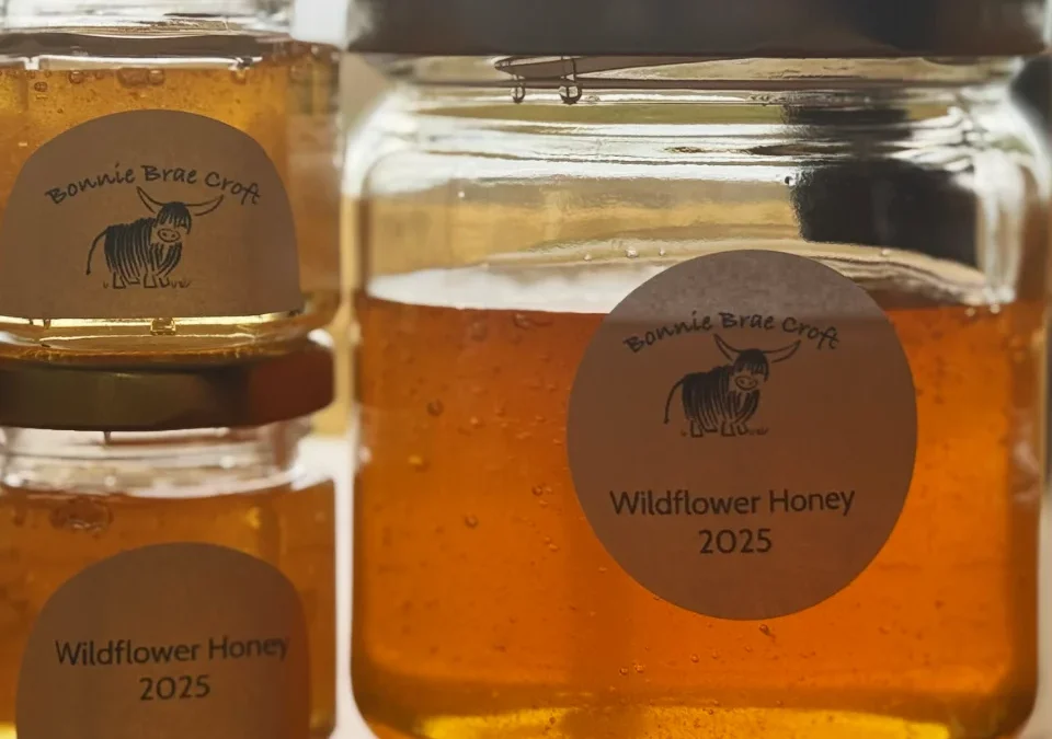 Our first honey batch