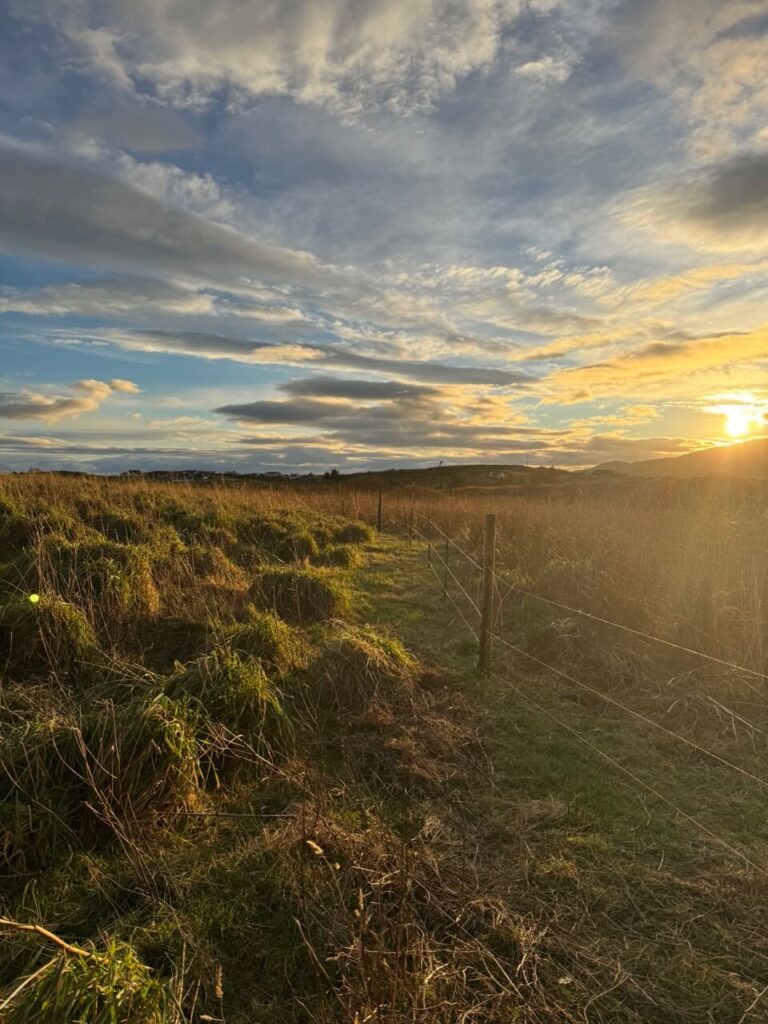 fence extension 3599