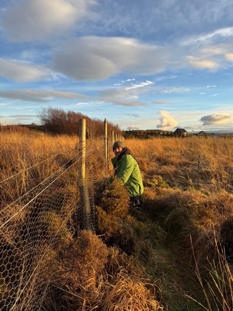 Colin repairing the old fence 