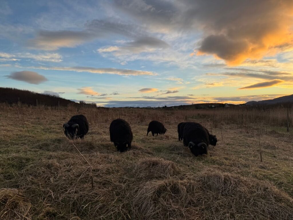 fence extension 3608