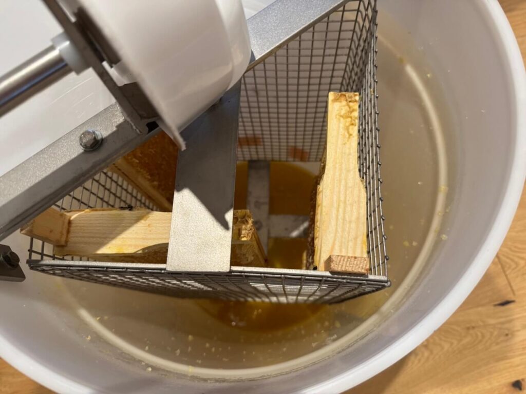 honey harvest 3393 large