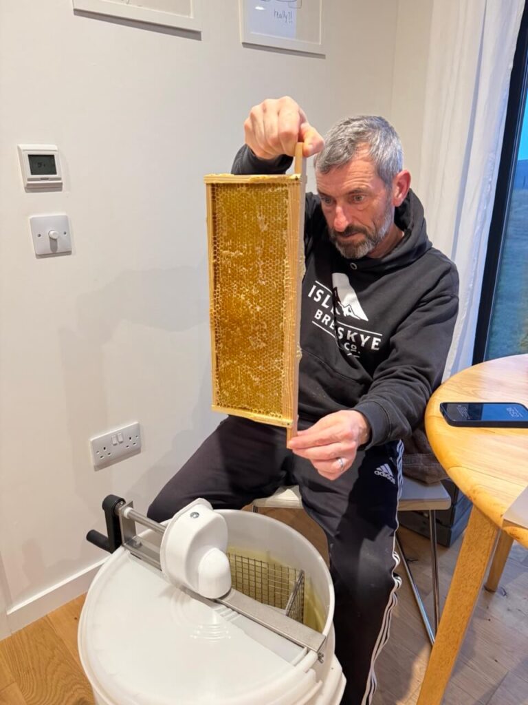 honey harvest 3394 large