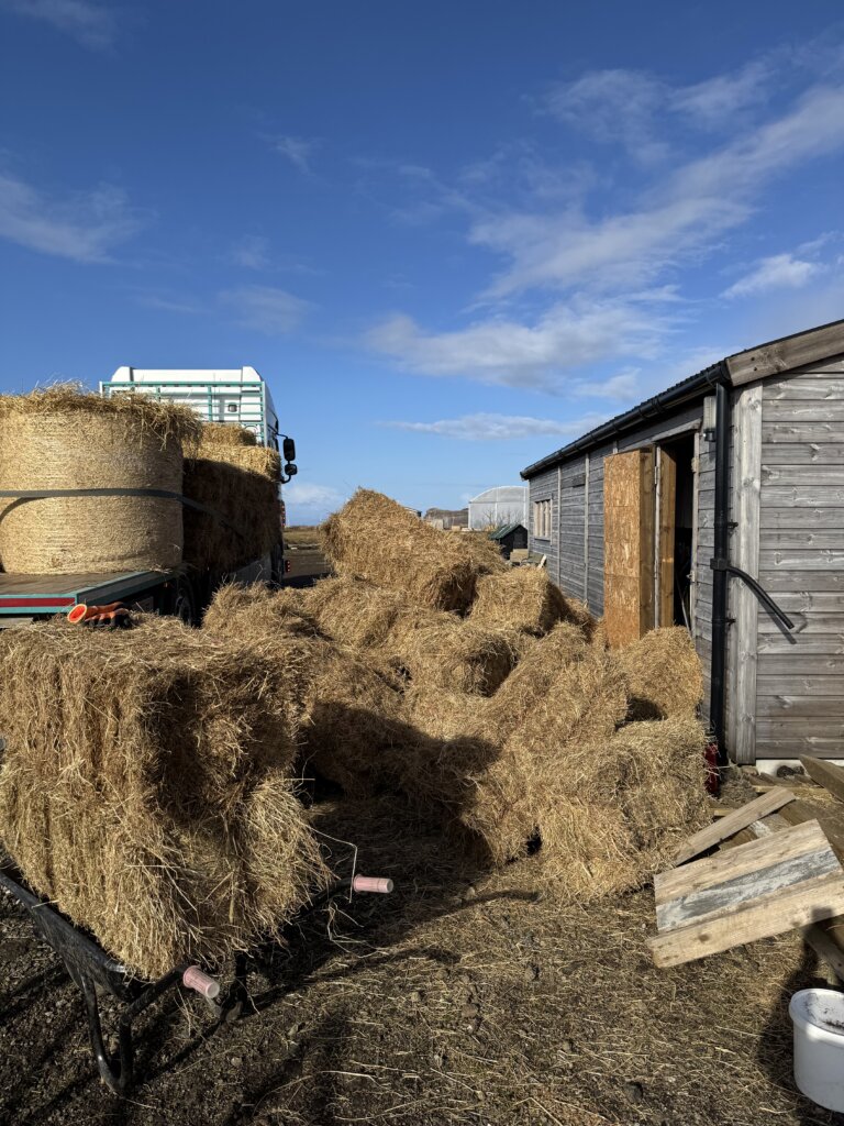 Hay bales dropped off