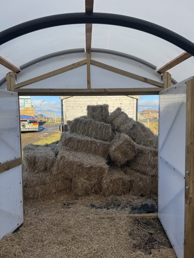 Hay bales unloaded, now the work begins