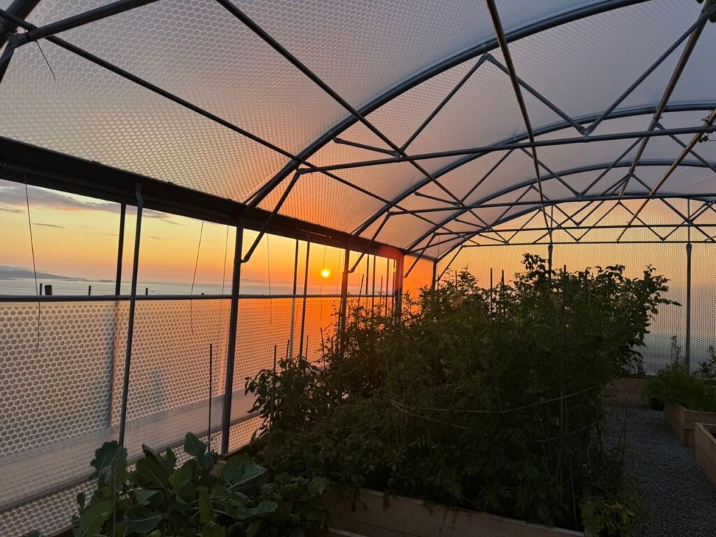 kederhouse 3097 large