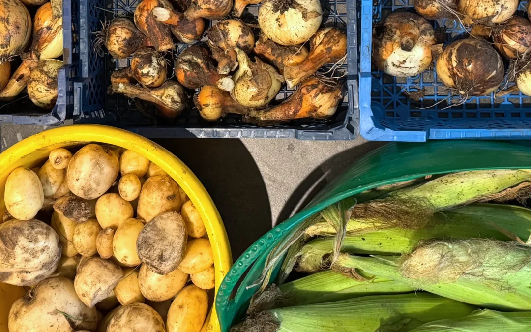 Keder Greenhouse Daily