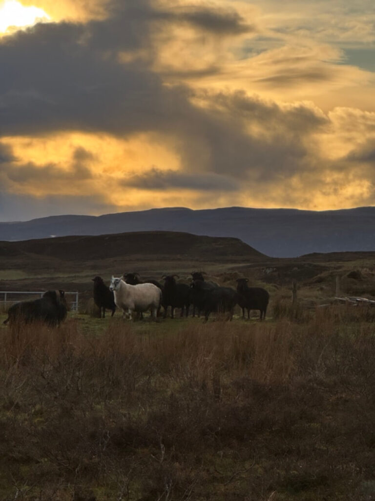 rob meets his girls 3591 large