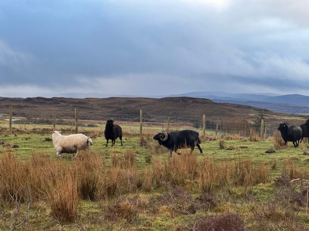 rob meets his girls 3592