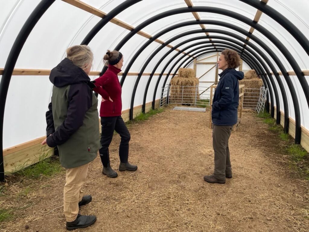 Bonnie Brae Croft, SRPID visit June 25 - viewing Hebcrub livestock tunnel