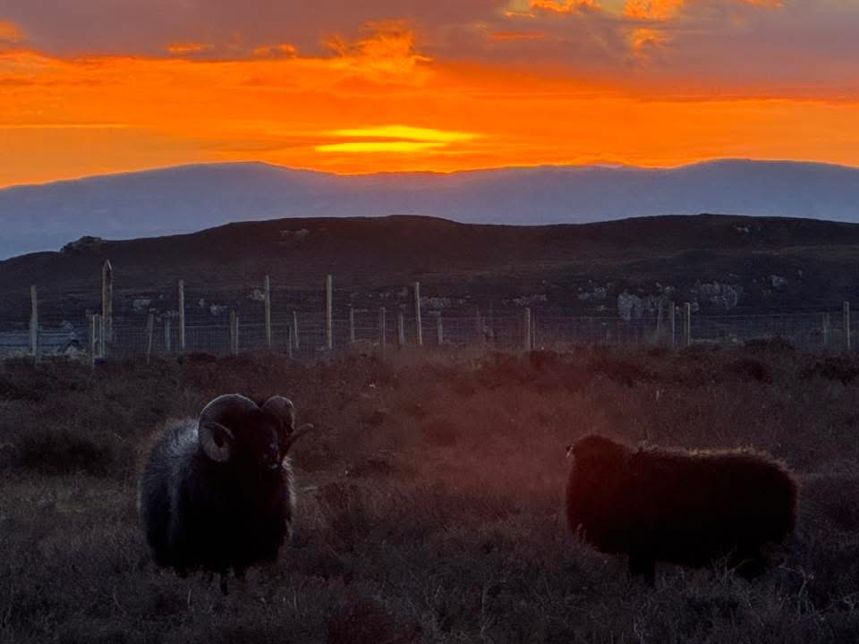 Rob & his pal bruce the 2nd