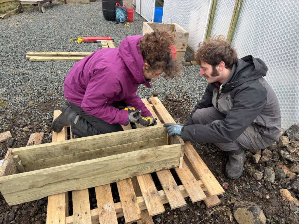building plantboxes