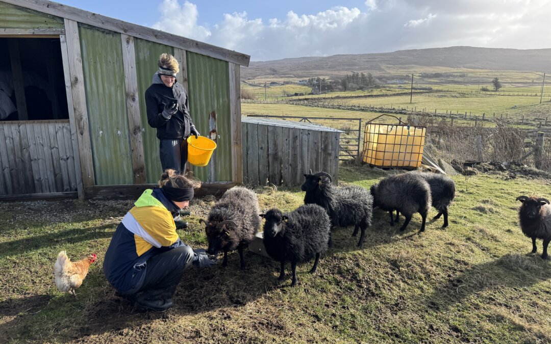 WWOOF Experience No. 2