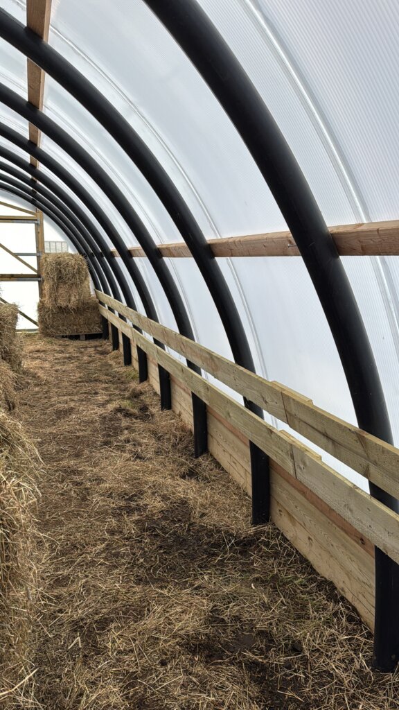 wwoof hebcrub finished work