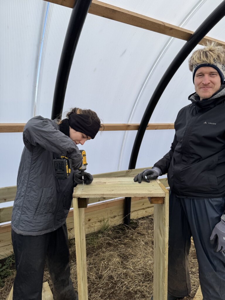 wwoof building plant boxes
