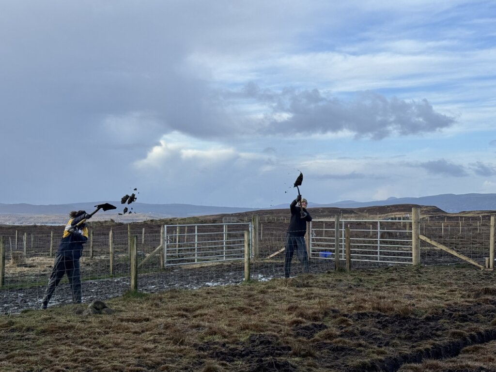 wwoof cleaning the hardstanding