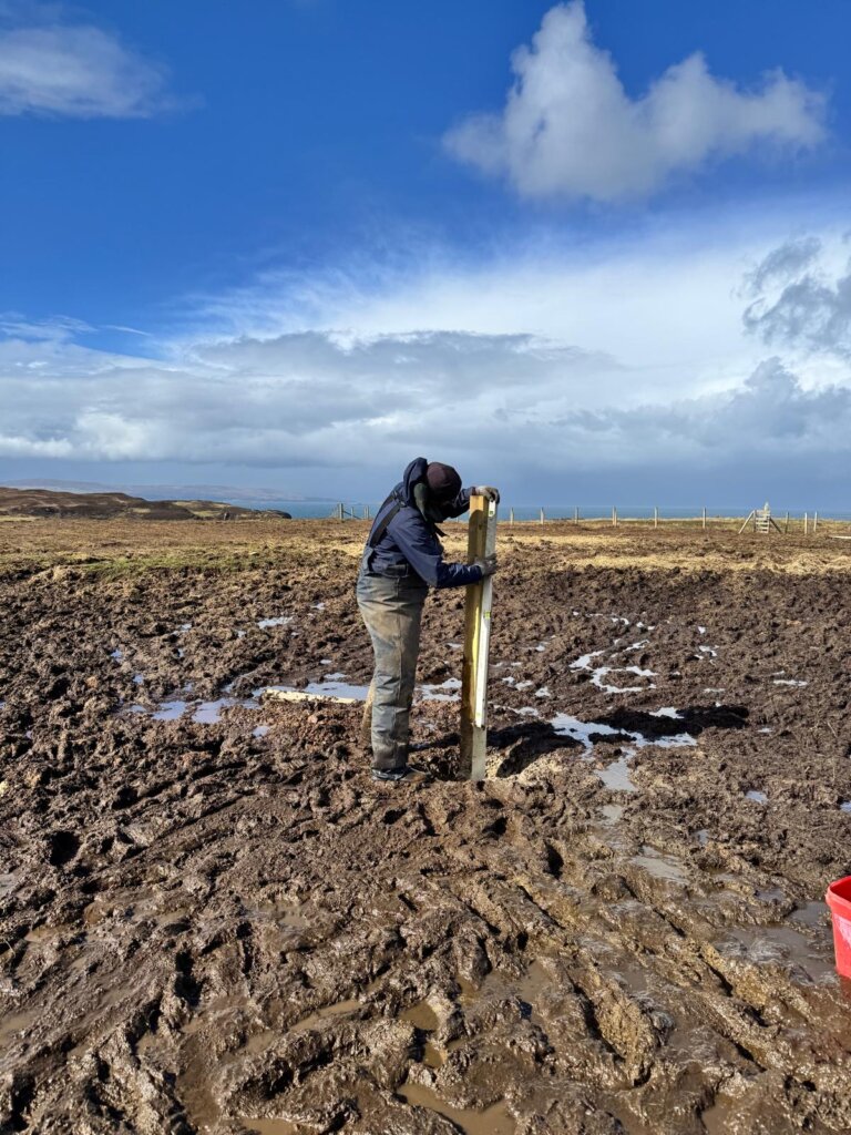 wwoof gate post 1