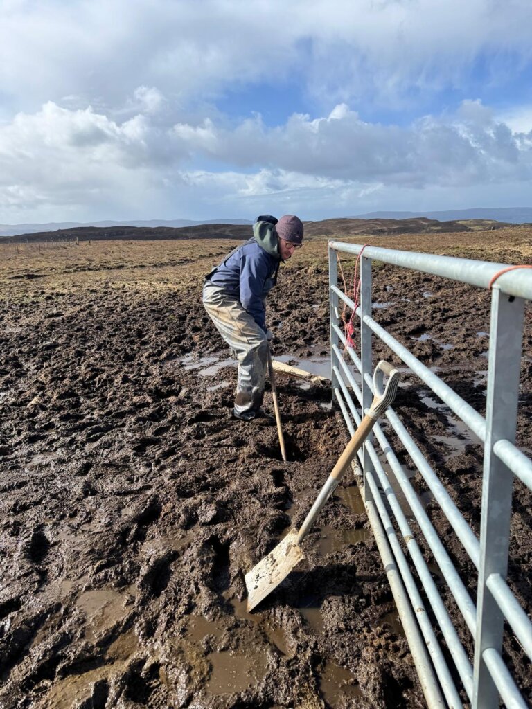 wwoof gate post 3