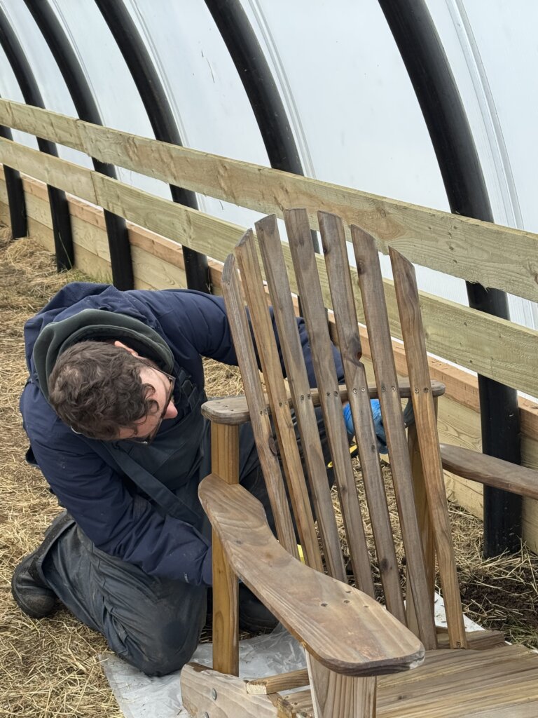 wwoof paiting