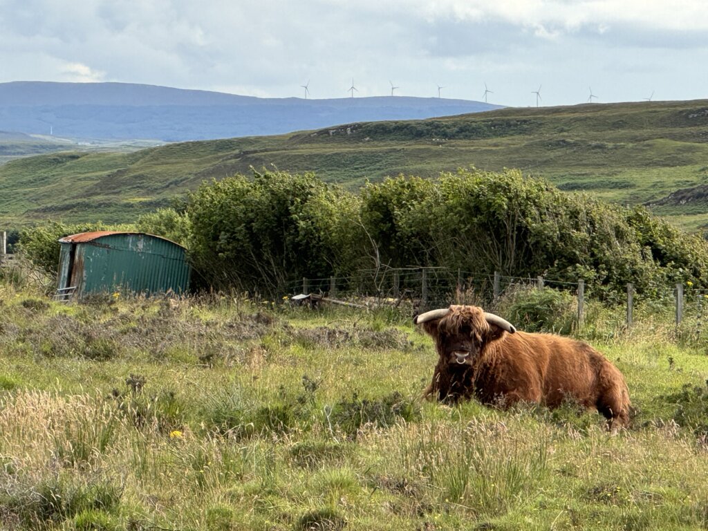 hamish having a rest