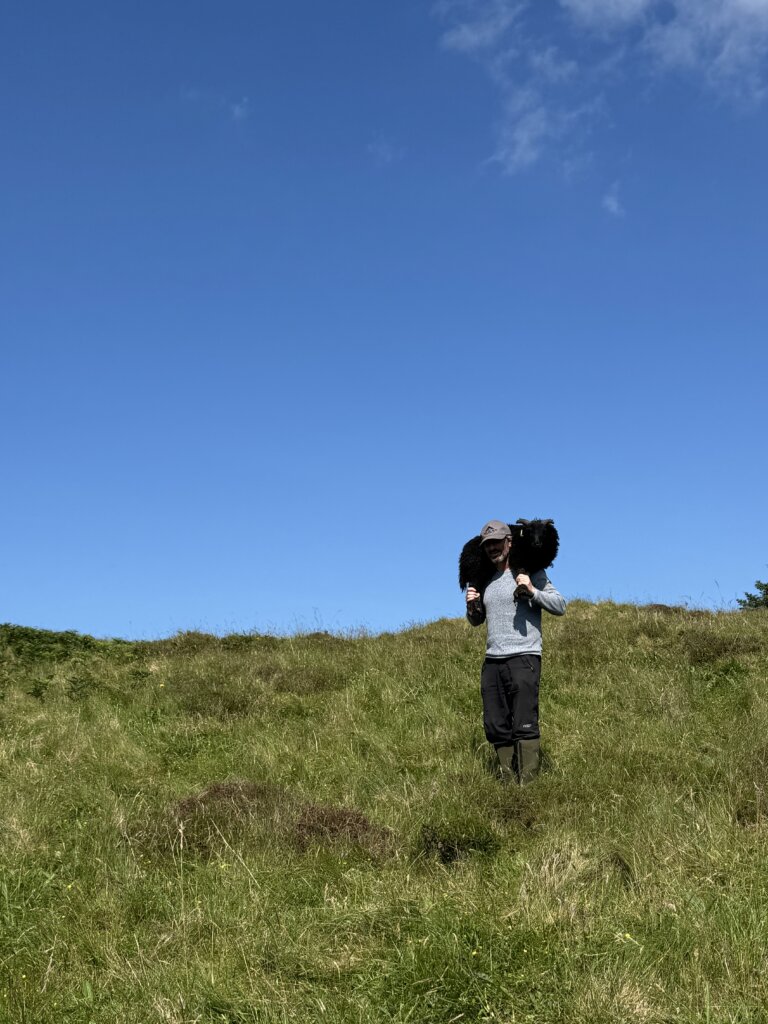 no 50 carried across the field