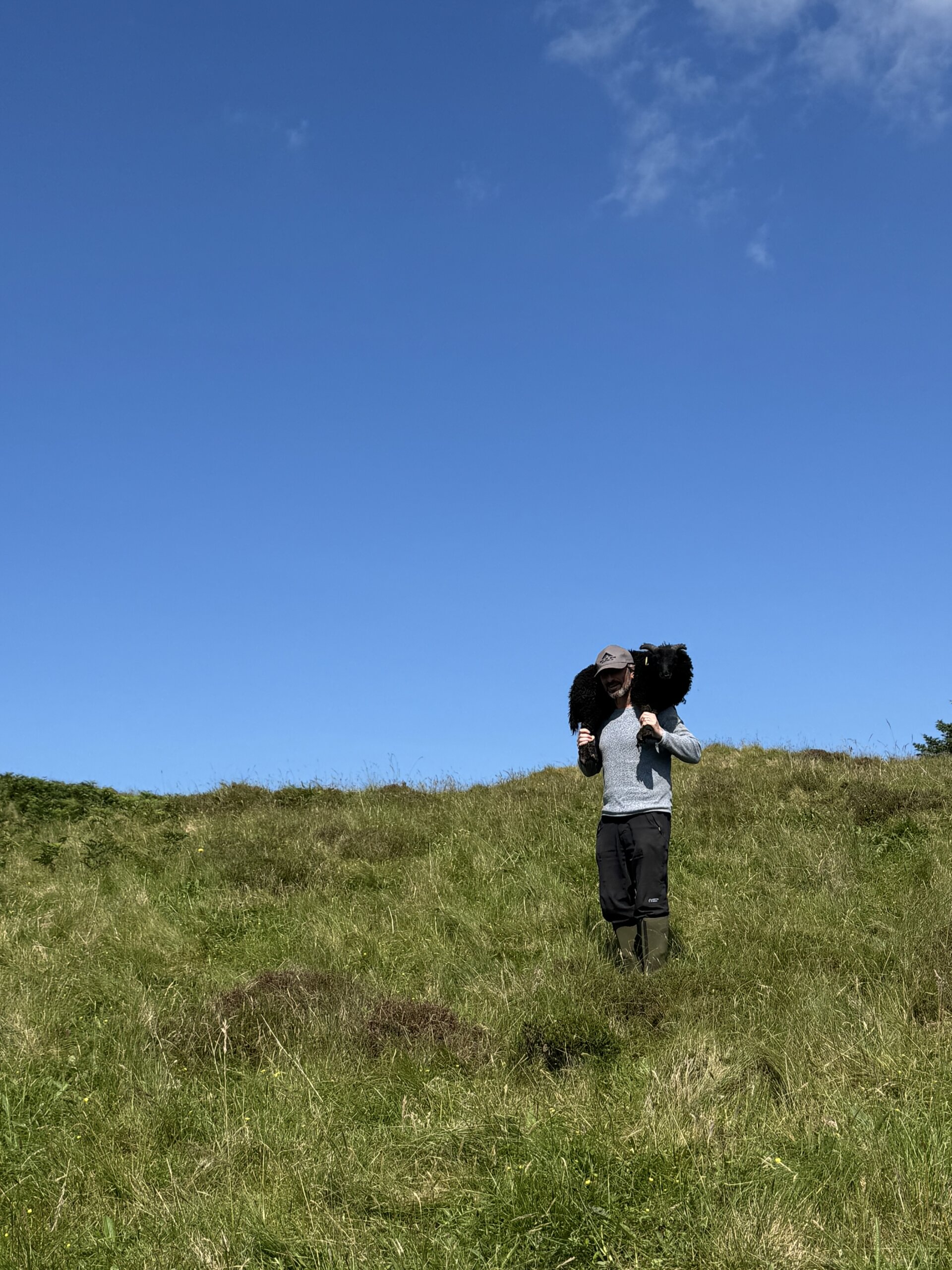 no 50 carried across the field