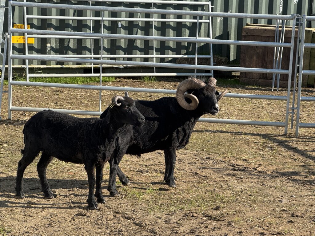 rob bruce with new fleece cuts