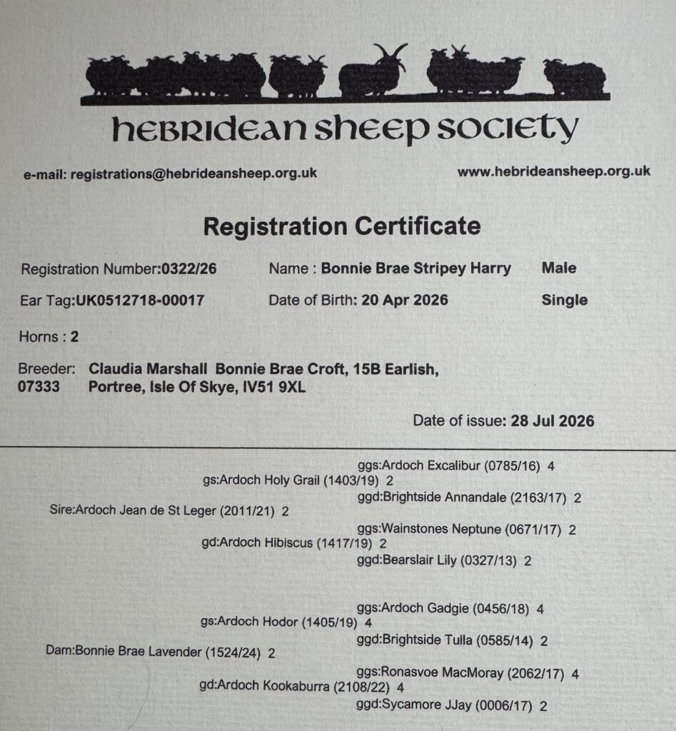 stripey harry registered