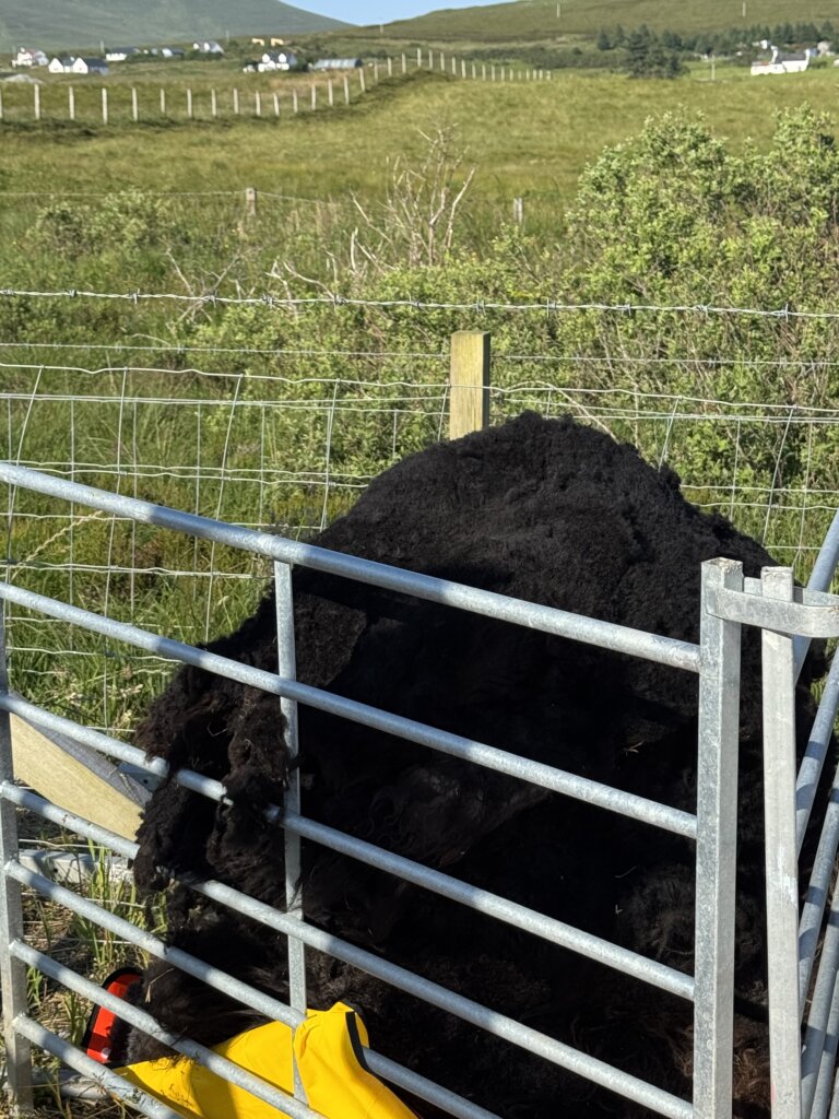 the outcome 18kg fleece