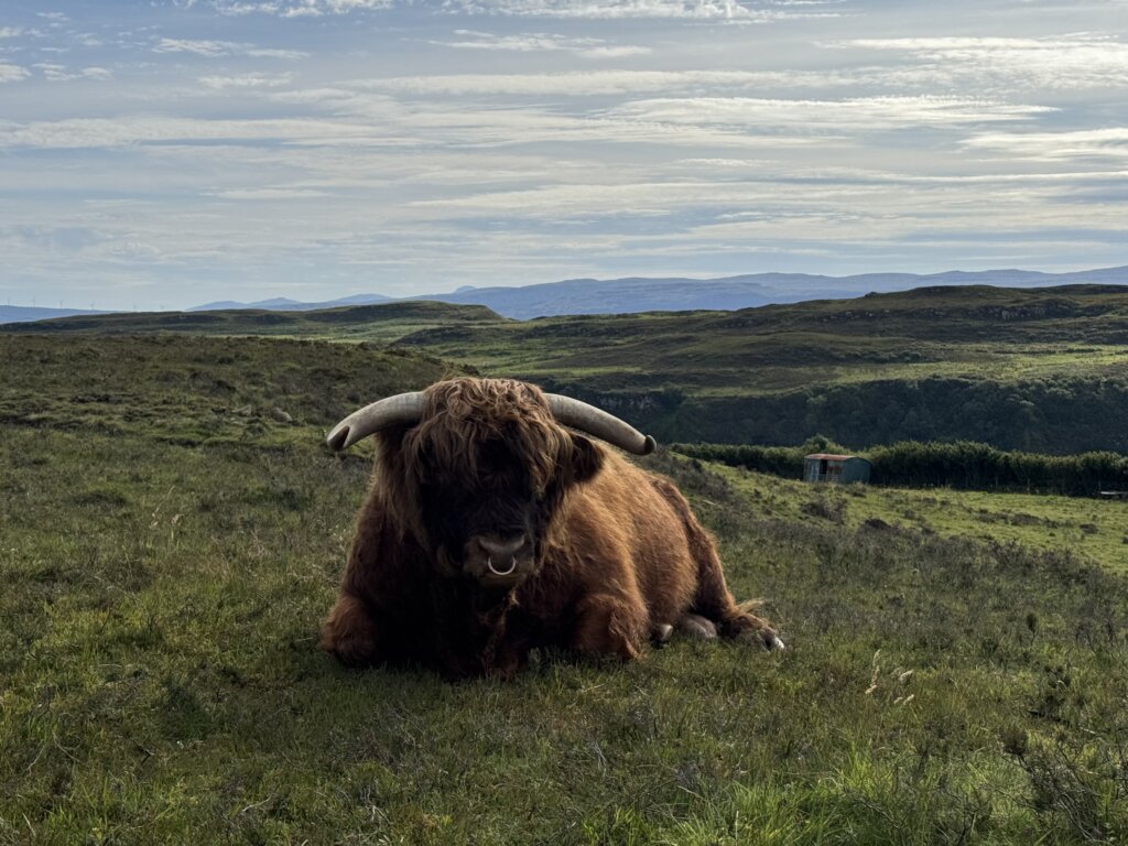 hamish