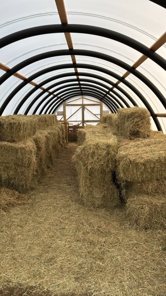 100 bales stacked away
