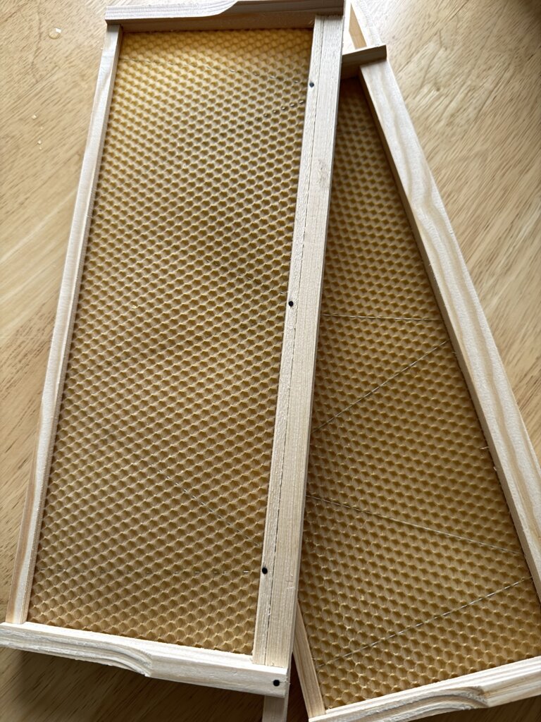 empty frames