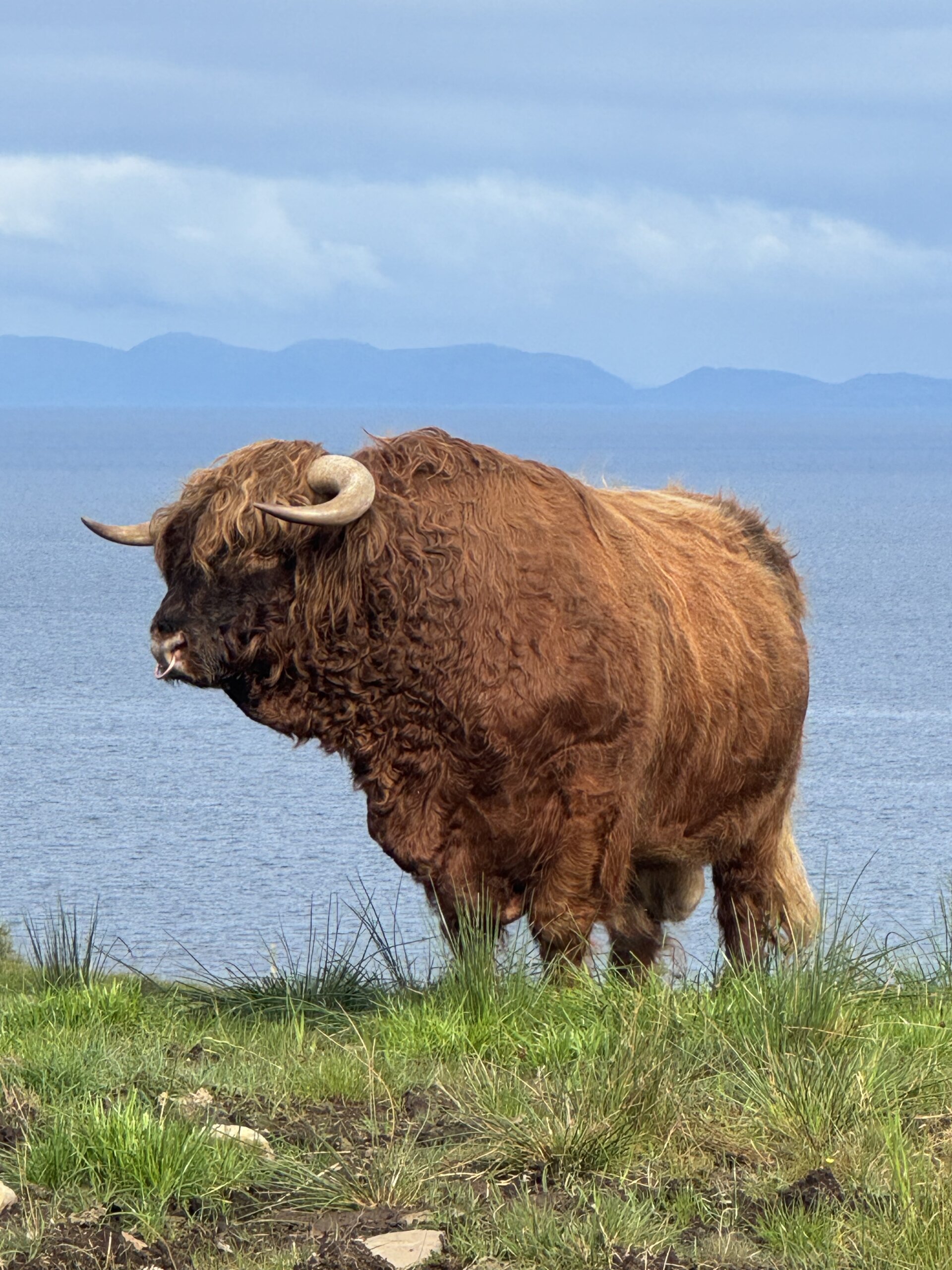 hamish
