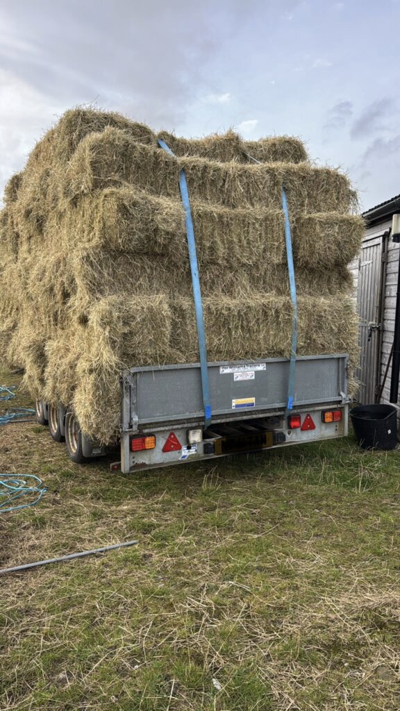 hay trailer arrived