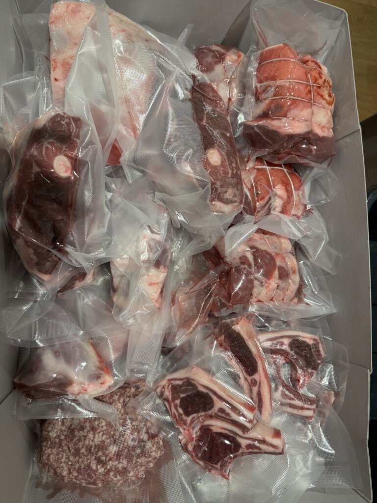 hogget meet fresh back from butcher