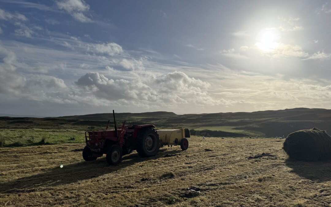 My new passion: driving tractor