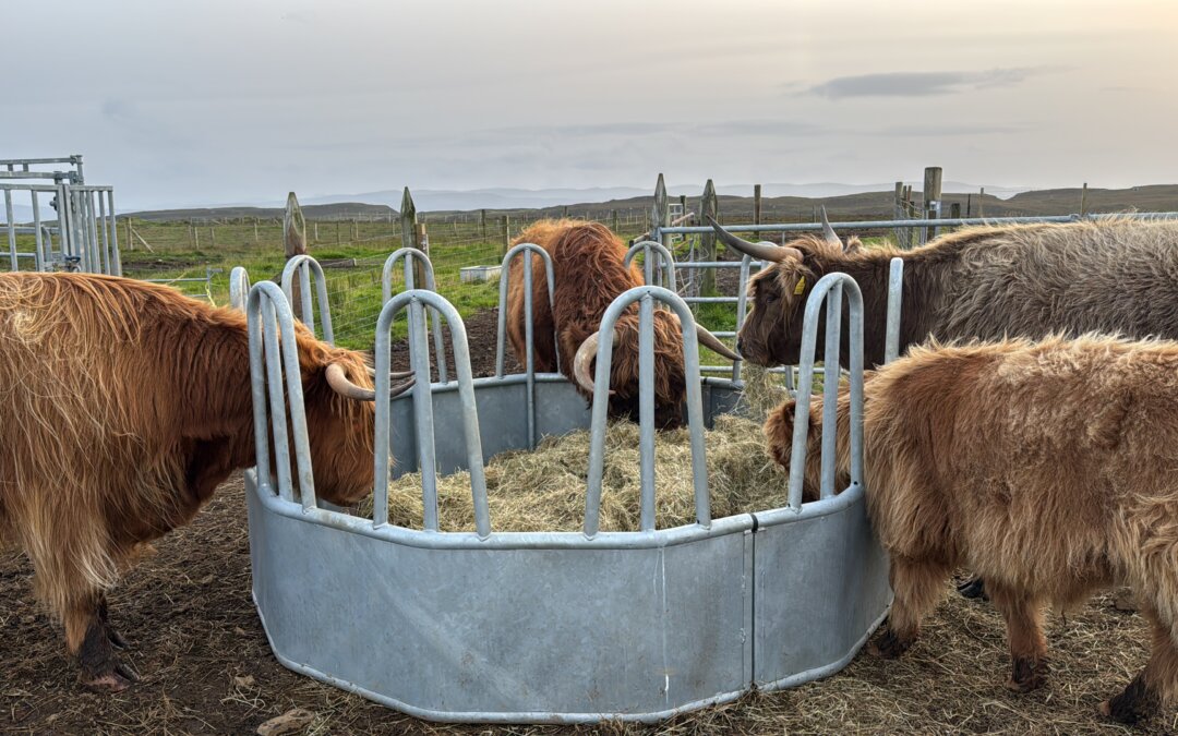 Feeding season has started